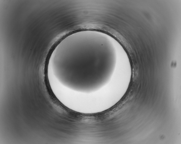 X0000101950438200808151256