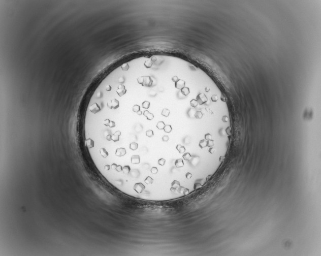 X0000101950439200808151256