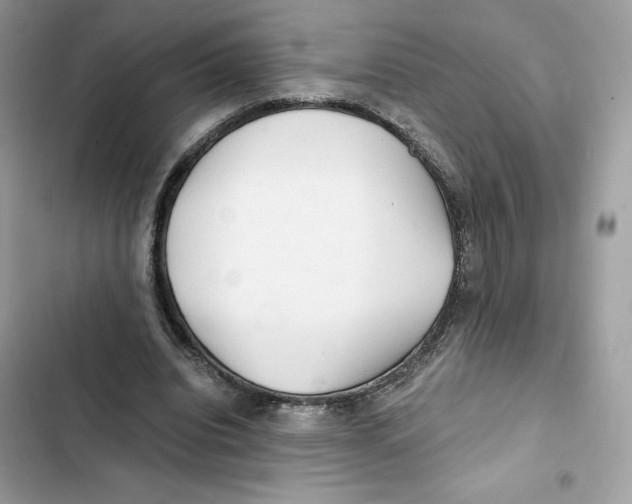 X0000101950440200808151256