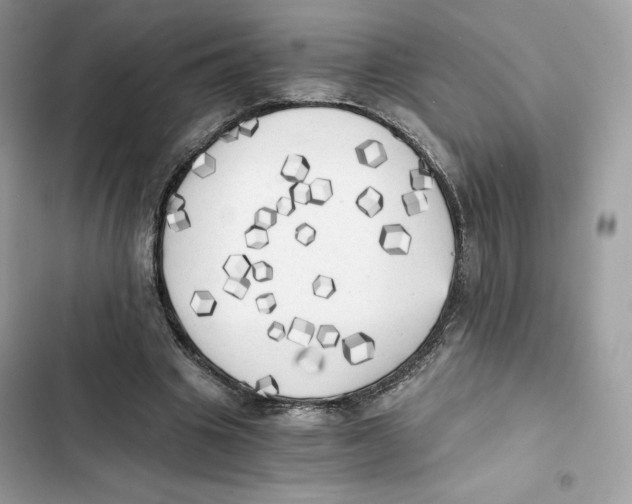 X0000101950441200808151256