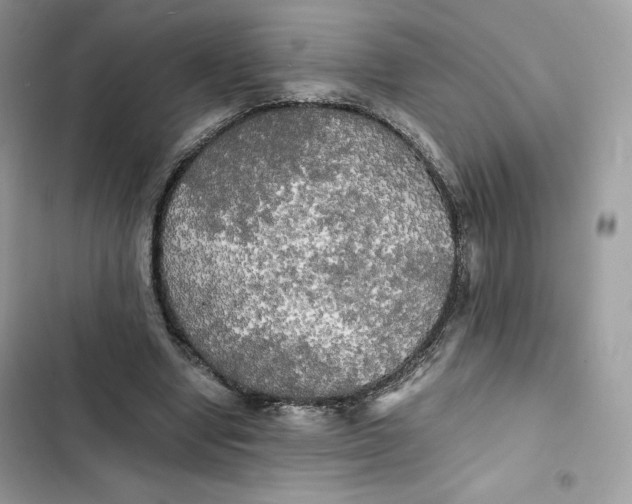 X0000101950442200808151256