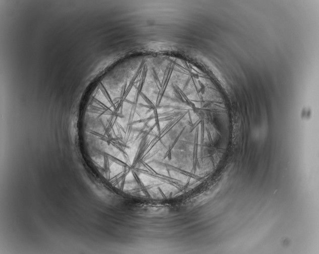 X0000101950443200808151256