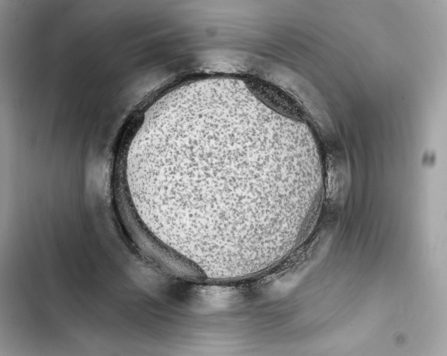 X0000101950444200808151256