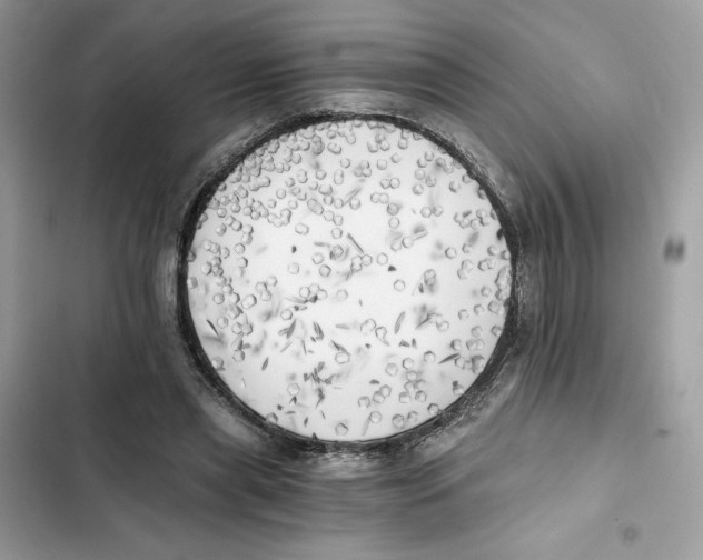 X0000101950445200808151256