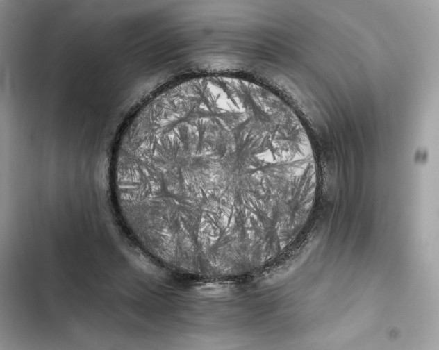 X0000101950447200808151256