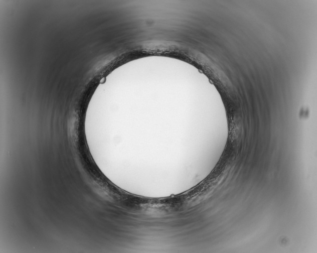 X0000101950448200808151256
