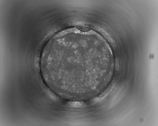 X0000101950449200808151256