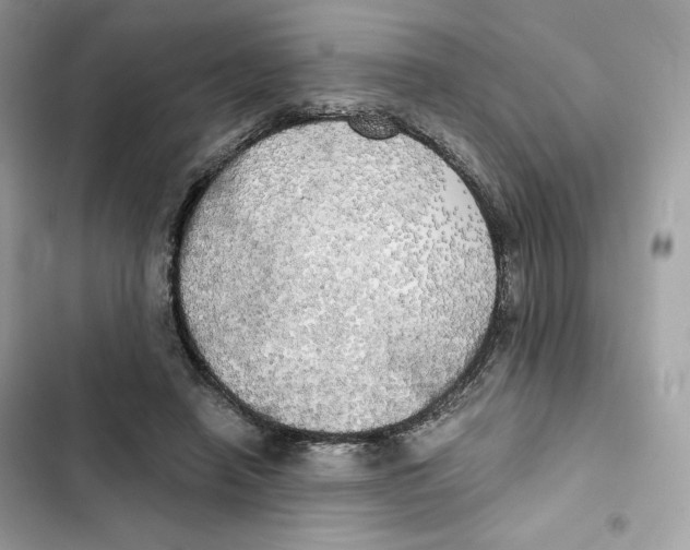 X0000101950450200808151256