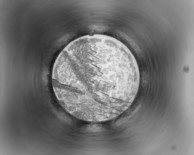 X0000101950451200808151256