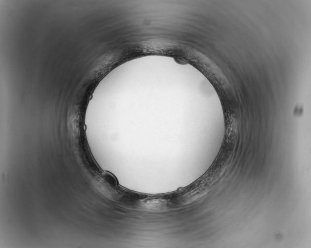 X0000101950452200808151256