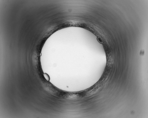 X0000101950456200808151257