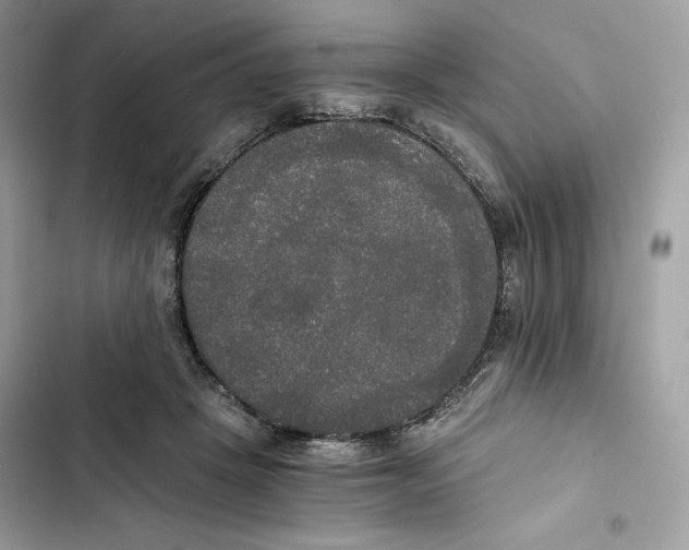 X0000101950457200808151257