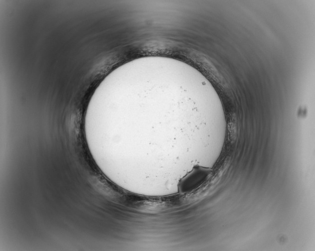 X0000101950458200808151257