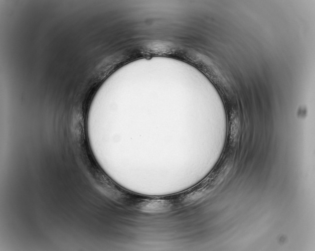 X0000101950459200808151257
