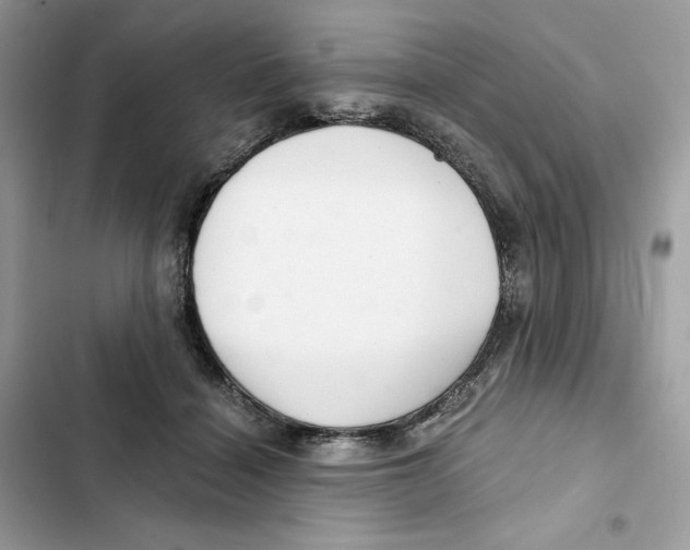 X0000101950460200808151257