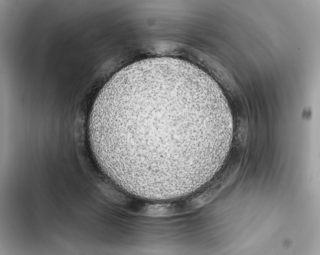 X0000101950461200808151257