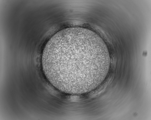 X0000101950462200808151257