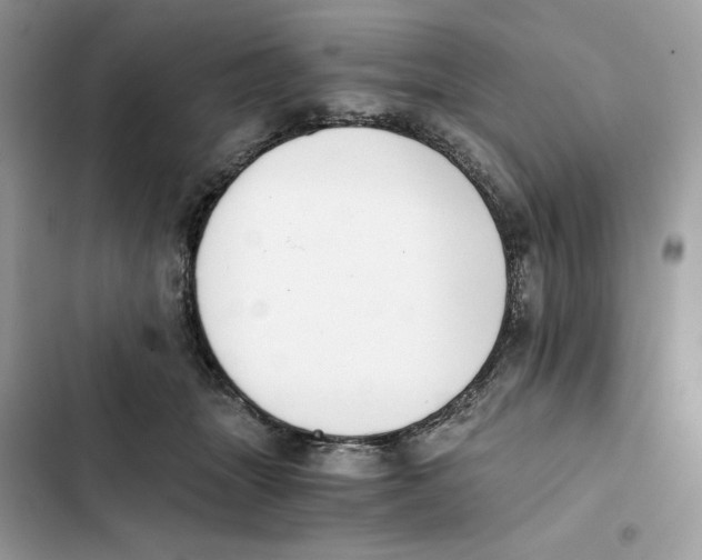 X0000101950463200808151257
