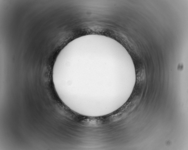 X0000101950464200808151257