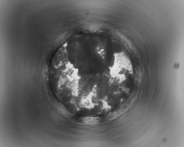 X0000101950465200808151257