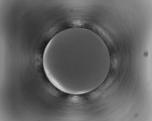 X0000101950467200808151257