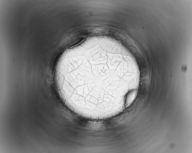 X0000101950469200808151257