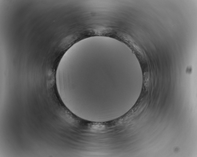 X0000101950471200808151257