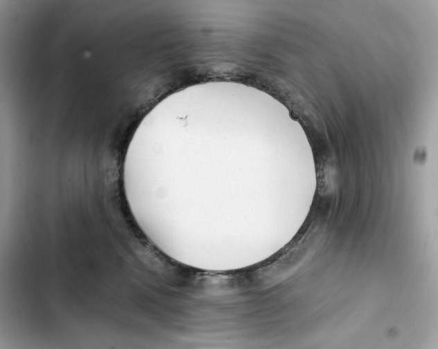 X0000101950472200808151257