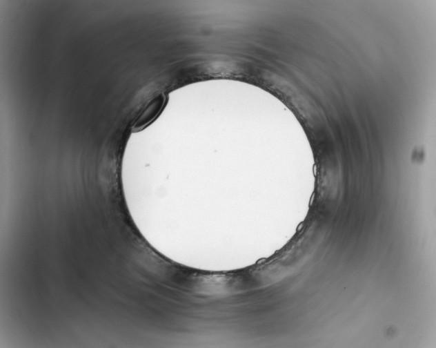 X0000101950473200808151257