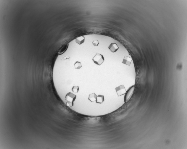X0000101950474200808151257