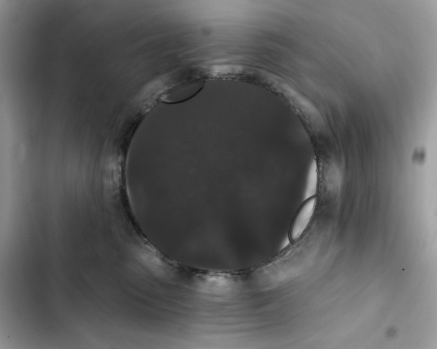X0000101950475200808151257