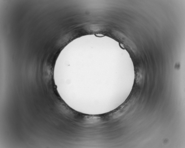 X0000101950476200808151257