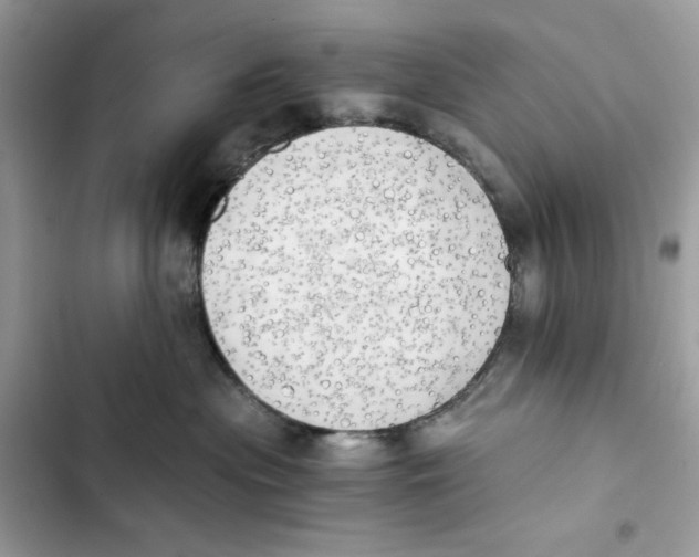 X0000101950477200808151257