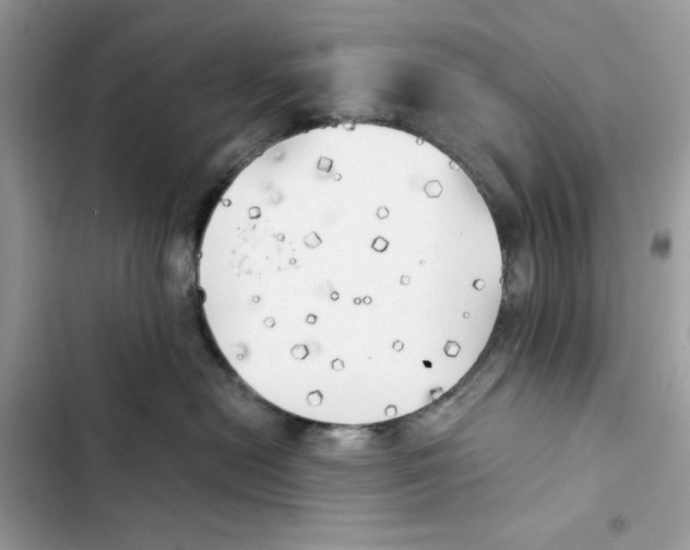 X0000101950478200808151257