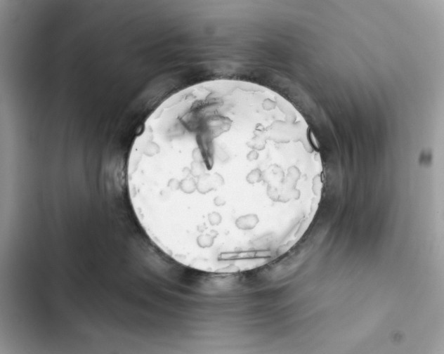 X0000101950479200808151257