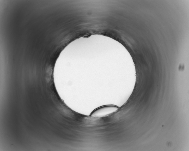 X0000101950480200808151257