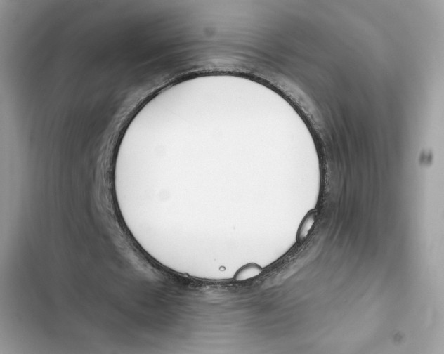 X0000101950481200808151256