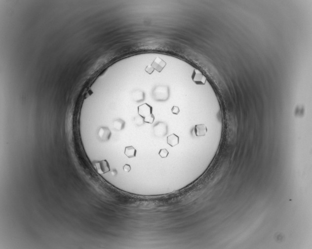 X0000101950482200808151256