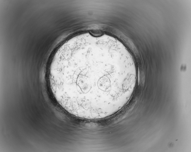 X0000101950483200808151256