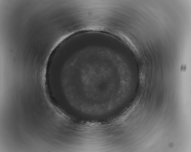X0000101950484200808151256