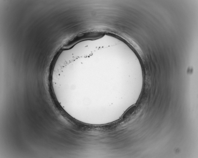 X0000101950485200808151256