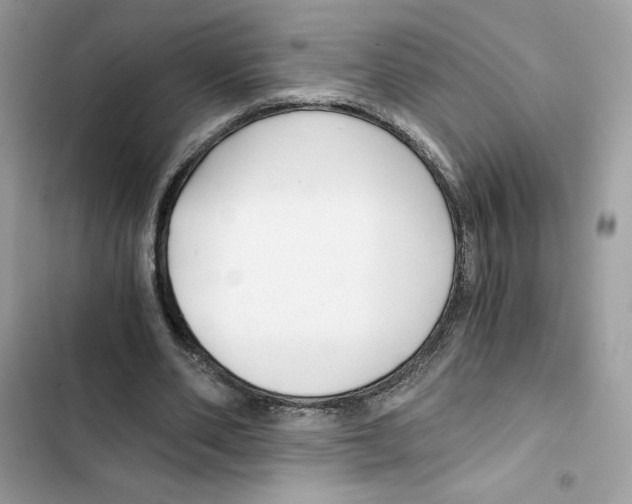 X0000101950486200808151256