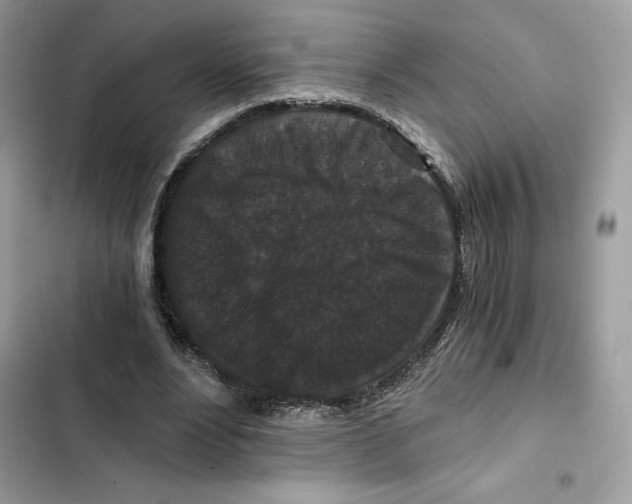 X0000101950488200808151256