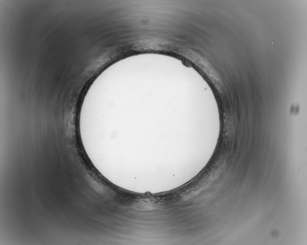 X0000101950489200808151256