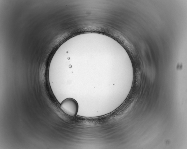 X0000101950490200808151256