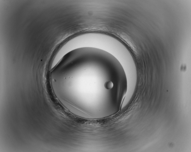 X0000101950491200808151256