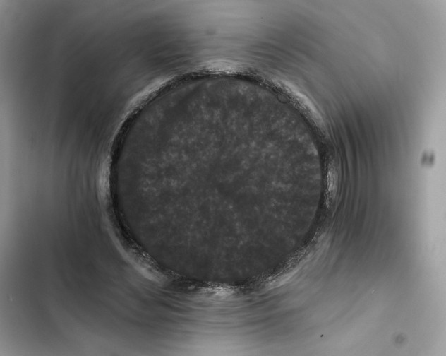 X0000101950492200808151256