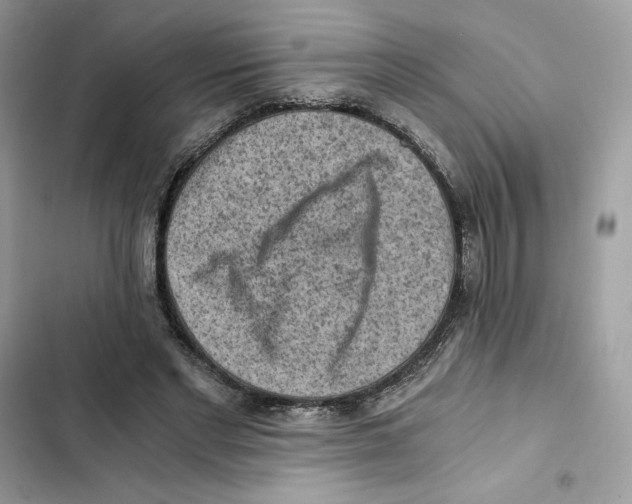 X0000101950493200808151256