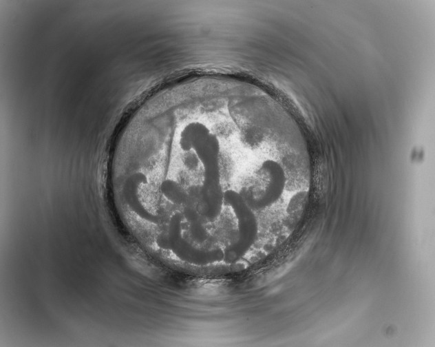 X0000101950495200808151256