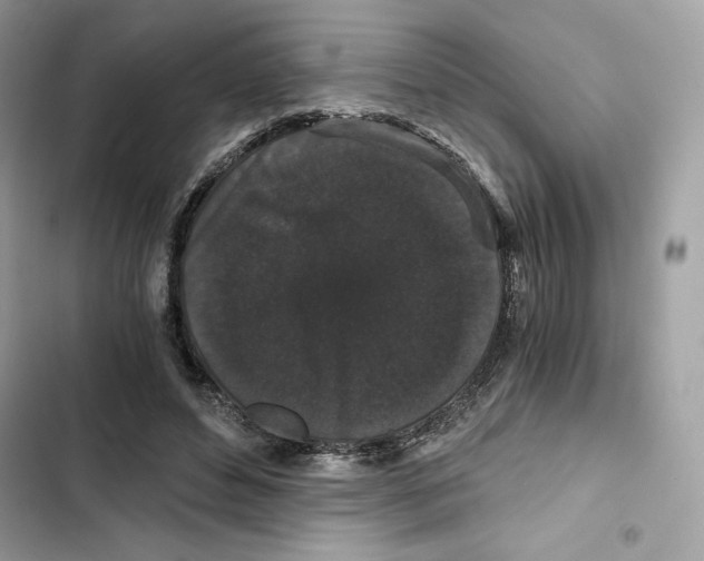 X0000101950496200808151256